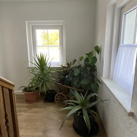Apartment Ferienwohnung-hainberg Ebersbach-Neugersdorf