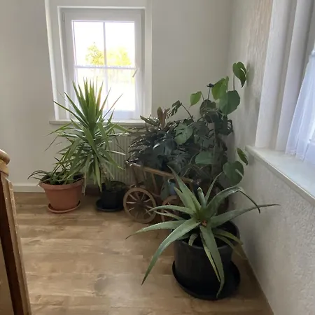 Apartment Ferienwohnung-hainberg *